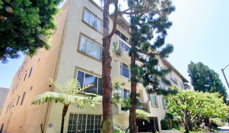 Westwood Marquis Westwood CA